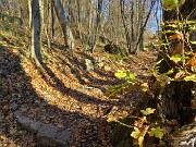 Da casa-Zogno al Monte Castello di Miragolo sul sentiero 514 il 24 nov. 2020 - FOTOGALLERY